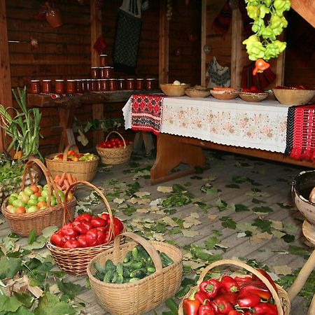 Râmnicu Vâlcea Motel Casa Olteneasca מראה חיצוני תמונה